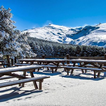 Todosierranevada Zona Baja - Apartamentos De 4 Dormitorios - Junto A Los Telecabinas シエラネバダ エクステリア 写真