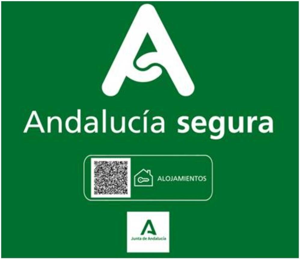 Todosierranevada Zona Baja - Apartamentos De 4 Dormitorios - Junto A Los Telecabinas シエラネバダ エクステリア 写真