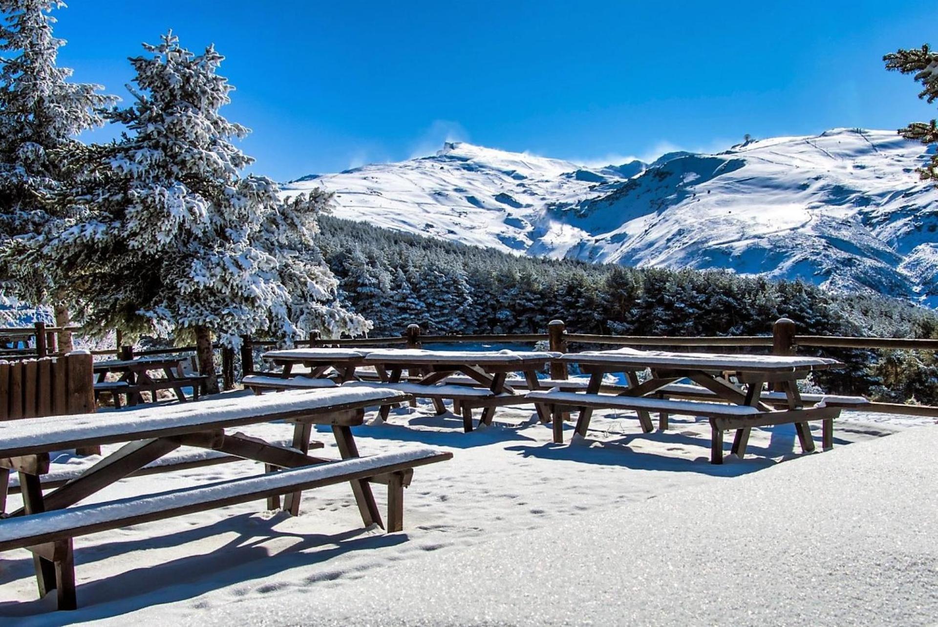 Todosierranevada Zona Baja - Apartamentos De 4 Dormitorios - Junto A Los Telecabinas シエラネバダ エクステリア 写真
